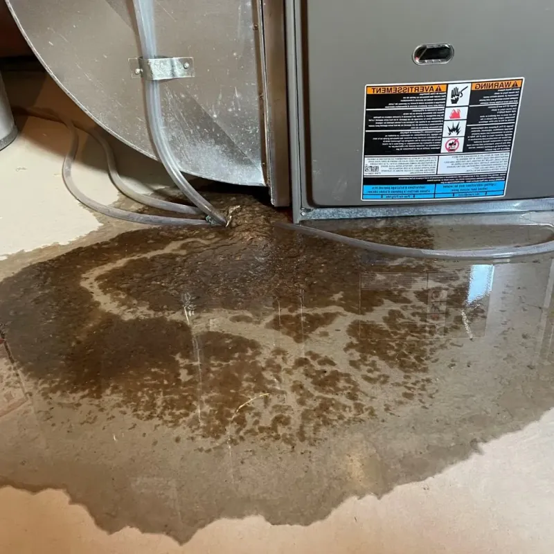 Pipe Burst and Leak Restoration in Hutchinson, KS