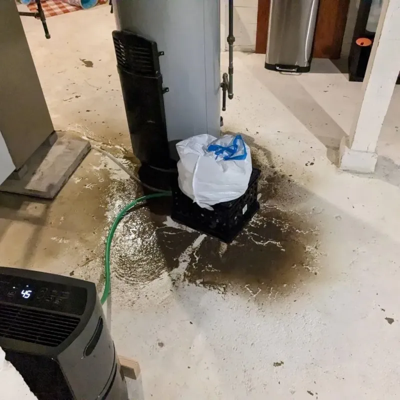 Sewage Backup Cleanup Service in Hutchinson, KS
